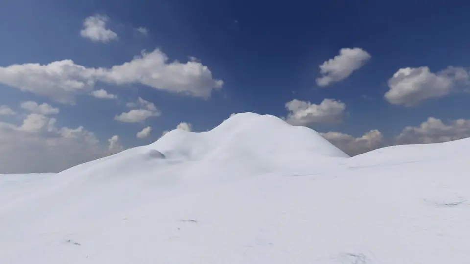 Jungfrau and the Aletsch rendered in real-time 3D